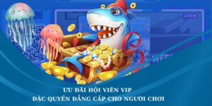 Ưu đãi hội viên VIP
